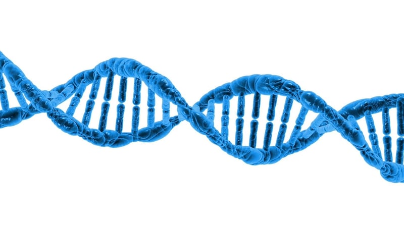 Biotechnology
